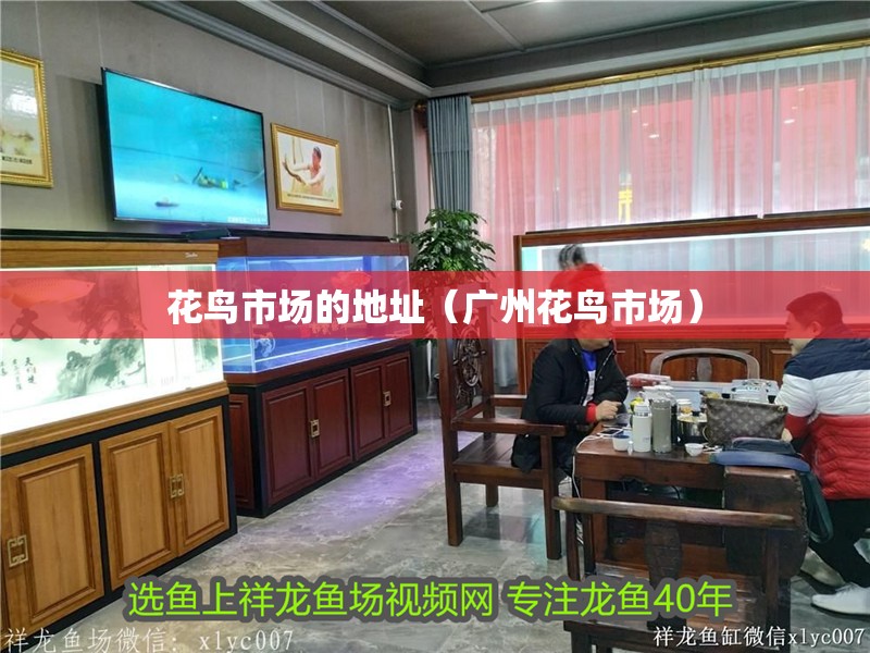 花鳥(niǎo)市場(chǎng)的地址（廣州花鳥(niǎo)市場(chǎng)）