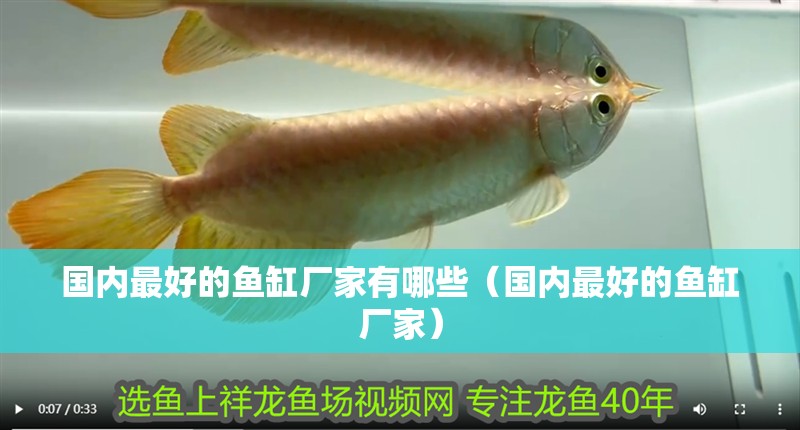 國內最好的魚缸廠家有哪些（國內最好的魚缸廠家）