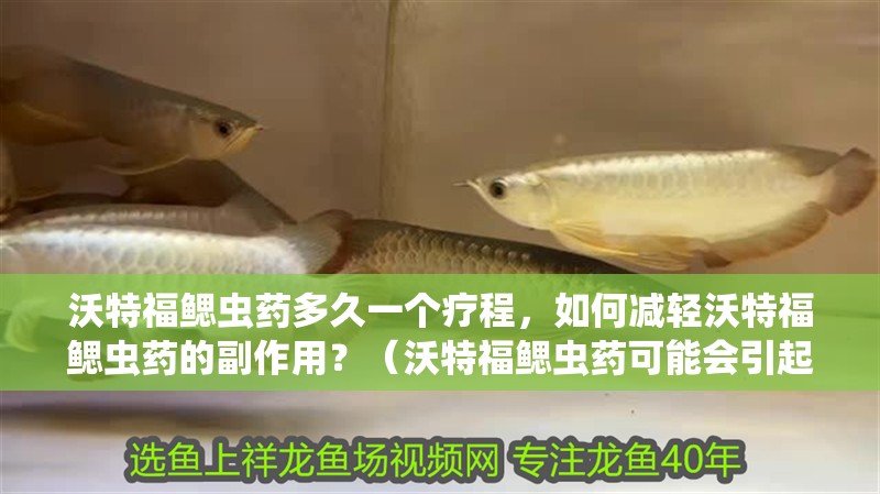 沃特福鰓蟲藥多久一個療程，如何減輕沃特福鰓蟲藥的副作用？（沃特福鰓蟲藥可能會引起過敏反應(yīng)，醫(yī)生建議及時就醫(yī)）