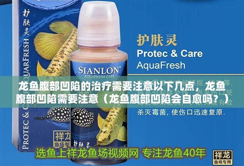 龍魚腹部凹陷的治療需要注意以下幾點，龍魚腹部凹陷需要注意（龍魚腹部凹陷會自愈嗎？）