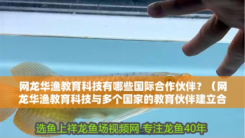 網龍華漁教育科技有哪些國際合作伙伴？（網龍華漁教育科技與多個國家的教育伙伴建立合作關系）