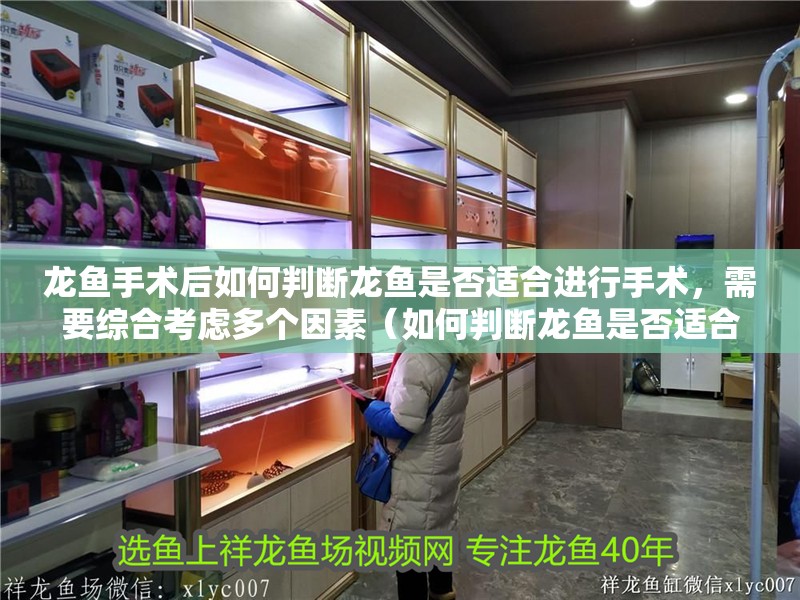 龍魚手術后如何判斷龍魚是否適合進行手術，需要綜合考慮多個因素（如何判斷龍魚是否適合做手術）