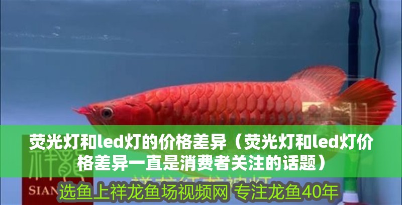 熒光燈和led燈的價格差異（熒光燈和led燈價格差異一直是消費者關注的話題） 熒光燈和led燈的價格差異（熒光燈和led燈價格差異一直是消費者關注的話題） 龍魚百科