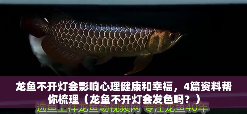 龍魚不開燈會影響心理健康和幸福，4篇資料幫你梳理（龍魚不開燈會發色嗎？）