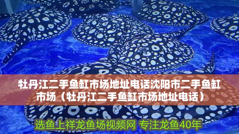 牡丹江二手魚缸市場地址電話沈陽市二手魚缸市場（牡丹江二手魚缸市場地址電話）