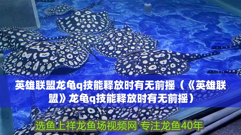 英雄聯盟龍龜q技能釋放時有無前搖（《英雄聯盟》龍龜q技能釋放時有無前搖）