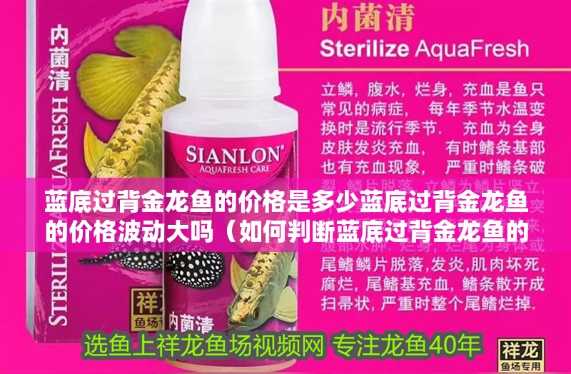 藍底過背金龍魚的價格是多少藍底過背金龍魚的價格波動大嗎（如何判斷藍底過背金龍魚的價格） 藍底過背金龍魚的價格是多少藍底過背金龍魚的價格波動大嗎（如何判斷藍底過背金龍魚的價格） 龍魚百科