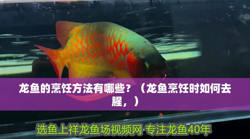 龍魚的烹飪方法有哪些？（龍魚烹飪時如何去腥，）