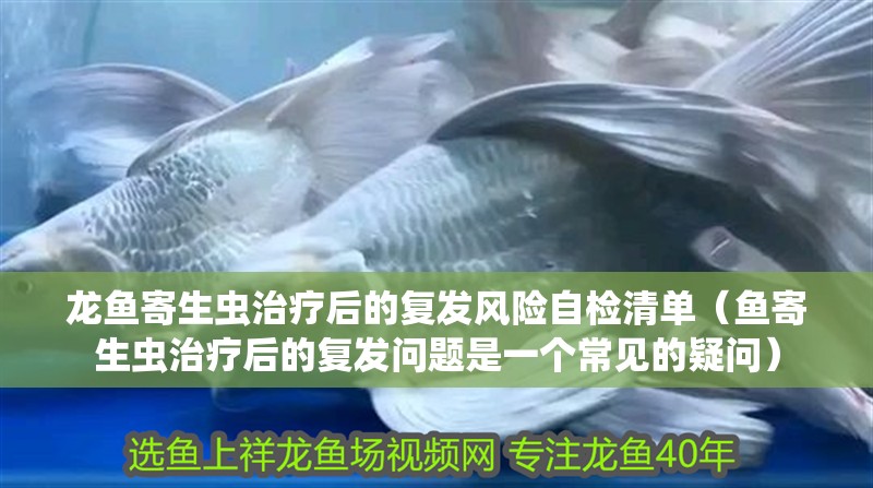 龍魚寄生蟲治療后的復發風險自檢清單（魚寄生蟲治療后的復發問題是一個常見的疑問）