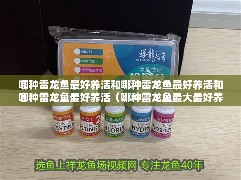 哪種雷龍魚最好養活和哪種雷龍魚最好養活和哪種雷龍魚最好養活（哪種雷龍魚最大最好養活） 哪種雷龍魚最好養活和哪種雷龍魚最好養活和哪種雷龍魚最好養活（哪種雷龍魚最大最好養活） 觀賞魚百科