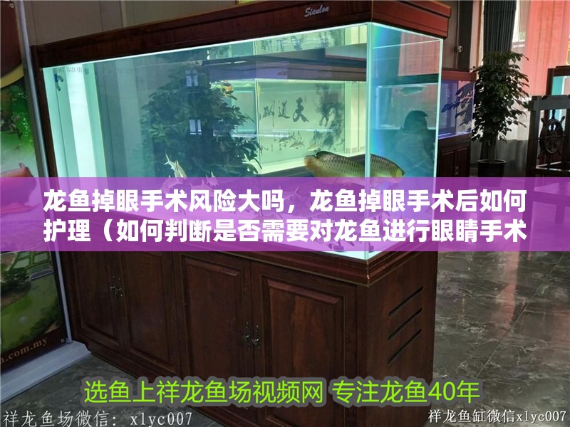 龍魚掉眼手術風險大嗎，龍魚掉眼手術后如何護理（如何判斷是否需要對龍魚進行眼睛手術）