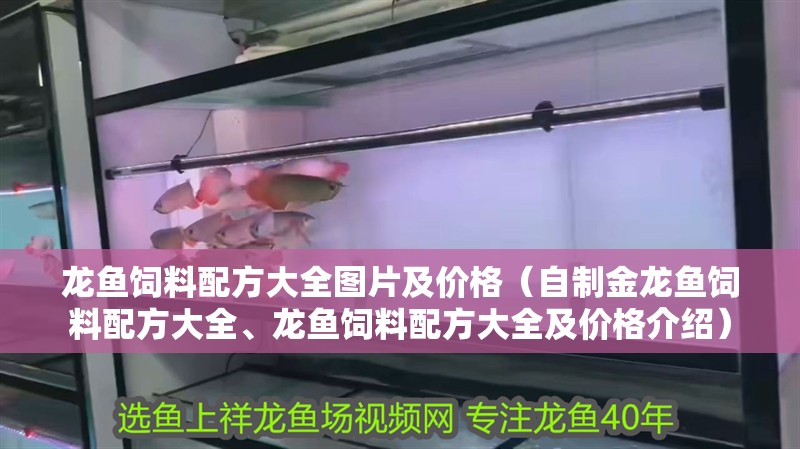 龍魚飼料配方大全圖片及價格（自制金龍魚飼料配方大全、龍魚飼料配方大全及價格介紹）