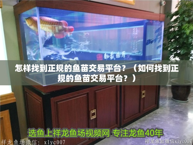 怎樣找到正規(guī)的魚苗交易平臺(tái)？（如何找到正規(guī)的魚苗交易平臺(tái)？）