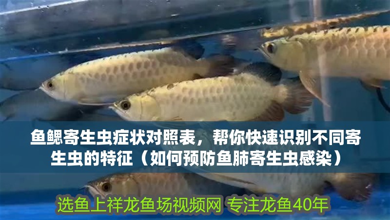 魚鰓寄生蟲癥狀對照表，幫你快速識別不同寄生蟲的特征（如何預防魚肺寄生蟲感染）