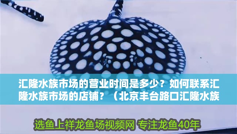 匯隆水族市場的營業(yè)時(shí)間是多少？如何聯(lián)系匯隆水族市場的店鋪？（北京豐臺路口匯隆水族市場百度地圖-景點(diǎn)）