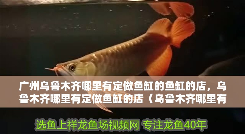 廣州烏魯木齊哪里有定做魚缸的魚缸的店，烏魯木齊哪里有定做魚缸的店（烏魯木齊哪里有定做魚缸的市場）