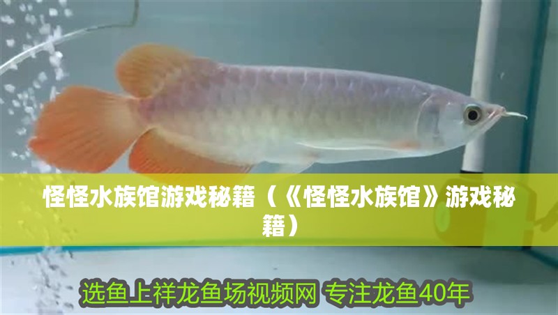 怪怪水族館游戲秘籍（《怪怪水族館》游戲秘籍）