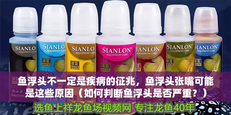魚浮頭不一定是疾病的征兆，魚浮頭張嘴可能是這些原因（如何判斷魚浮頭是否嚴重？）