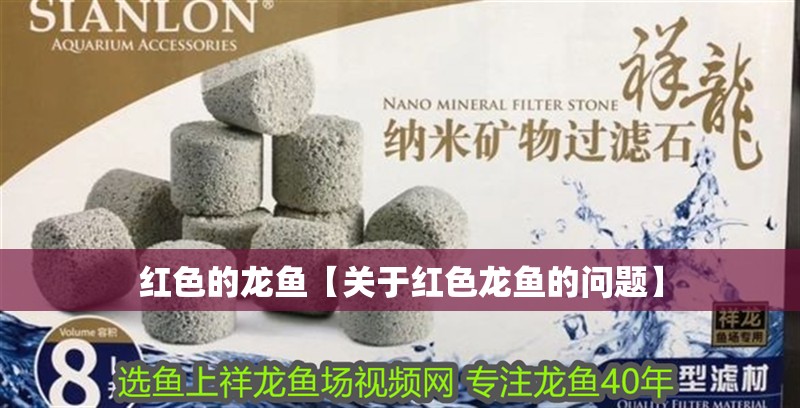 紅色的龍魚【關(guān)于紅色龍魚的問題】