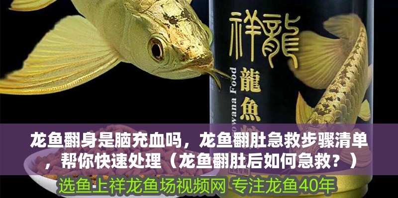 龍魚翻身是腦充血嗎，龍魚翻肚急救步驟清單，幫你快速處理（龍魚翻肚后如何急救？）