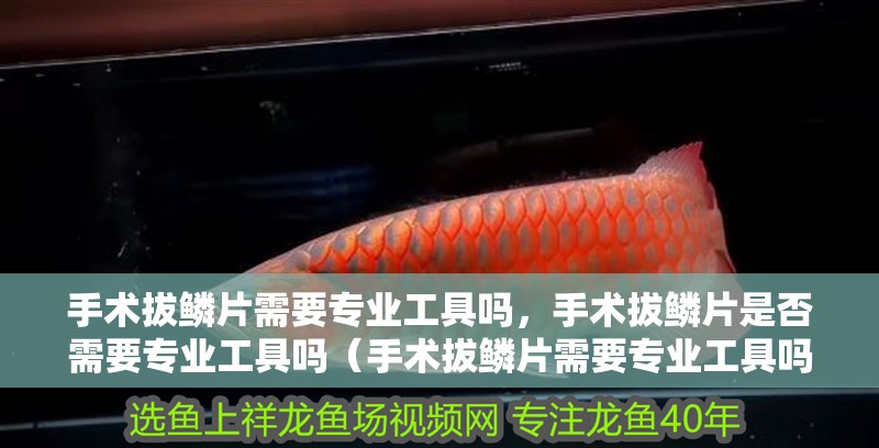 手術(shù)拔鱗片需要專業(yè)工具嗎，手術(shù)拔鱗片是否需要專業(yè)工具嗎（手術(shù)拔鱗片需要專業(yè)工具嗎）