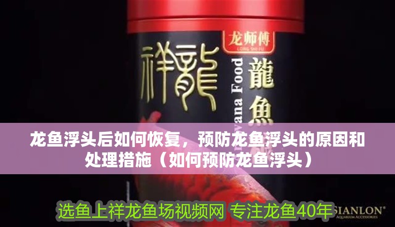 龍魚浮頭后如何恢復，預防龍魚浮頭的原因和處理措施（如何預防龍魚浮頭）