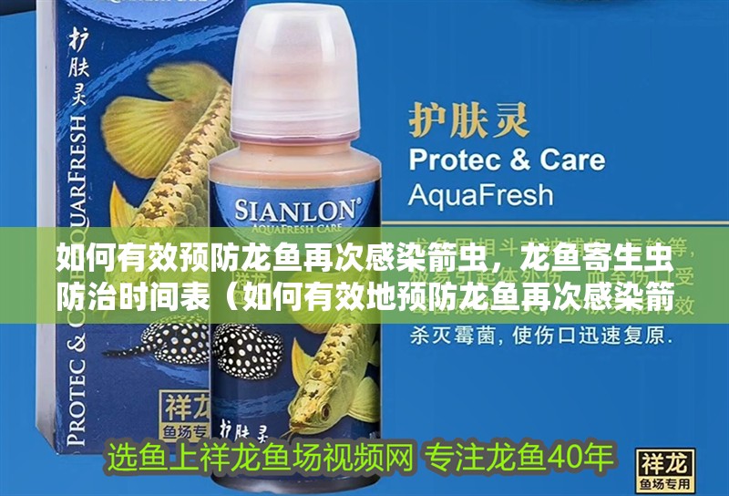如何有效預(yù)防龍魚再次感染箭蟲，龍魚寄生蟲防治時(shí)間表（如何有效地預(yù)防龍魚再次感染箭蟲）