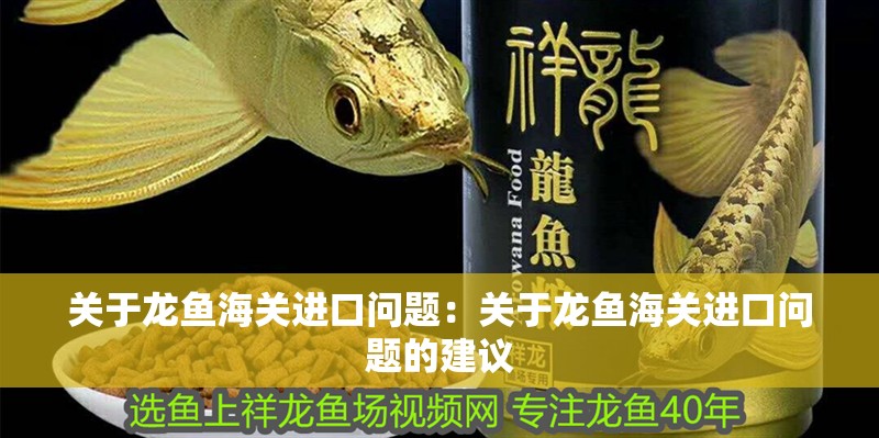 關于龍魚海關進口問題：關于龍魚海關進口問題的建議
