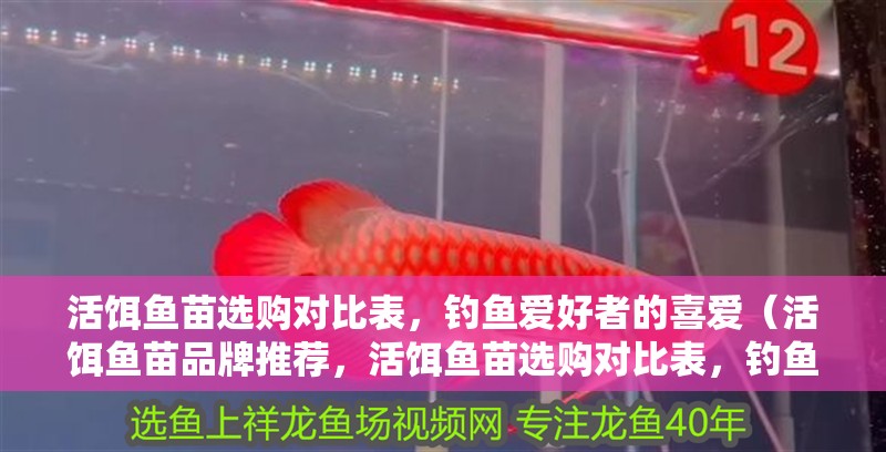 活餌魚苗選購對比表，釣魚愛好者的喜愛（活餌魚苗品牌推薦，活餌魚苗選購對比表，釣魚愛好者的喜愛）