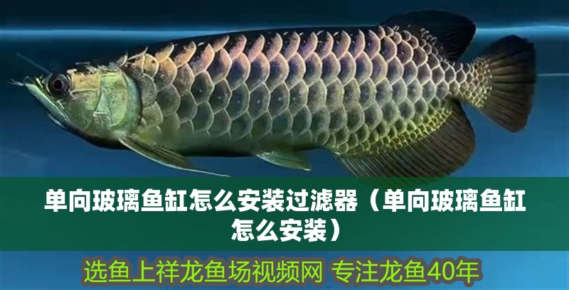 單向玻璃魚缸怎么安裝過濾器（單向玻璃魚缸怎么安裝）
