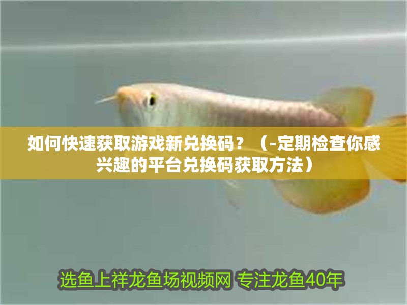 如何快速獲取游戲新兌換碼？（-定期檢查你感興趣的平臺兌換碼獲取方法）