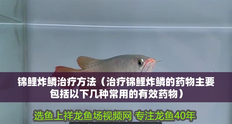 錦鯉炸鱗治療方法（治療錦鯉炸鱗的藥物主要包括以下幾種常用的有效藥物）