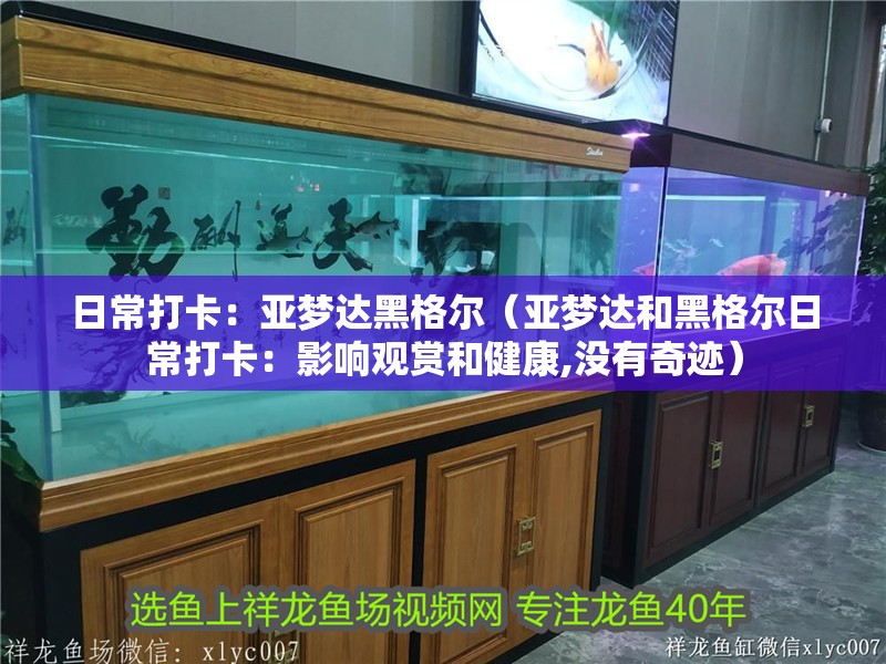 日常打卡：亞夢達黑格爾（亞夢達和黑格爾日常打卡：影響觀賞和健康,沒有奇跡）