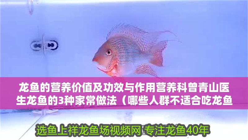 龍魚的營養價值及功效與作用營養科曾青山醫生龍魚的3種家常做法（哪些人群不適合吃龍魚？）