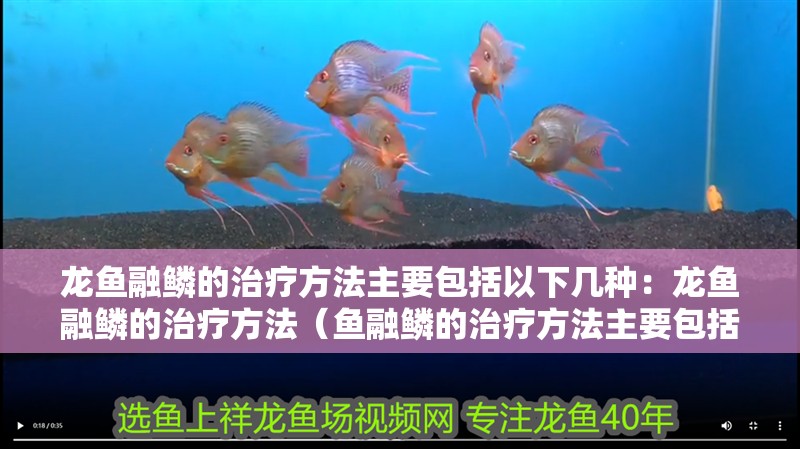 龍魚融鱗的治療方法主要包括以下幾種：龍魚融鱗的治療方法（魚融鱗的治療方法主要包括以下幾種：龍魚融鱗的治療方法）
