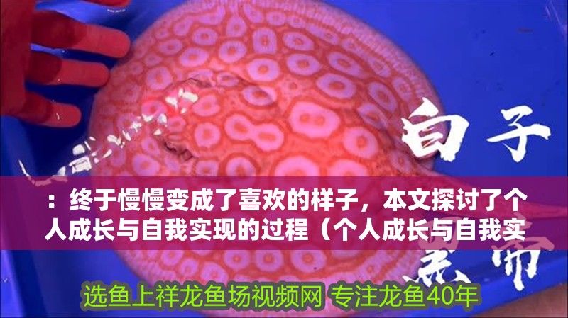 ：終于慢慢變成了喜歡的樣子，本文探討了個人成長與自我實現的過程（個人成長與自我實現）