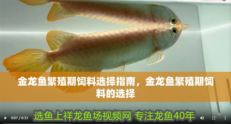 金龍魚繁殖期飼料選擇指南，金龍魚繁殖期飼料的選擇