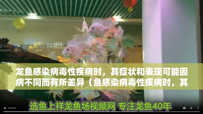 龍魚感染病毒性疾病時，其癥狀和表現可能因病不同而有所差異（魚感染病毒性疾病時，其癥狀和表現可能因病不同而有所差異）