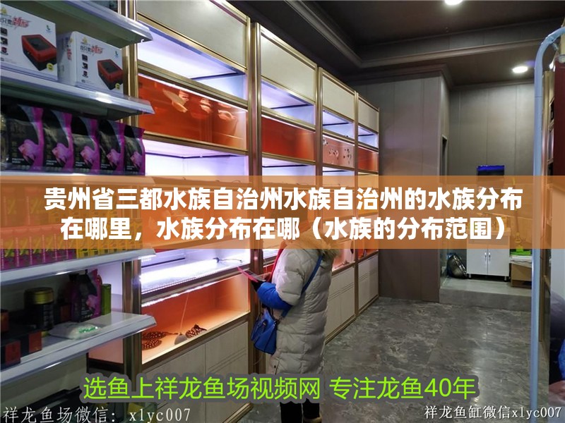 貴州省三都水族自治州水族自治州的水族分布在哪里，水族分布在哪（水族的分布范圍）