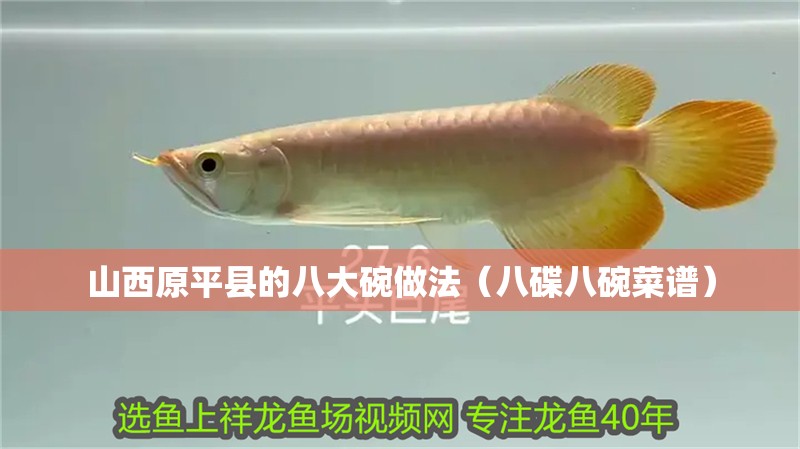魚缸用增氧泵價(jià)格是多少:魚缸增氧機(jī)-xtrac增氧機(jī)-xtrac增氧機(jī) 山西原平縣的八大碗做法(八碟八碗菜譜) 觀賞魚百科 山西原平縣的八大碗做法(八碟八碗菜譜) 山西原平縣的八大碗做法(八碟八碗菜譜) 觀賞魚百科
