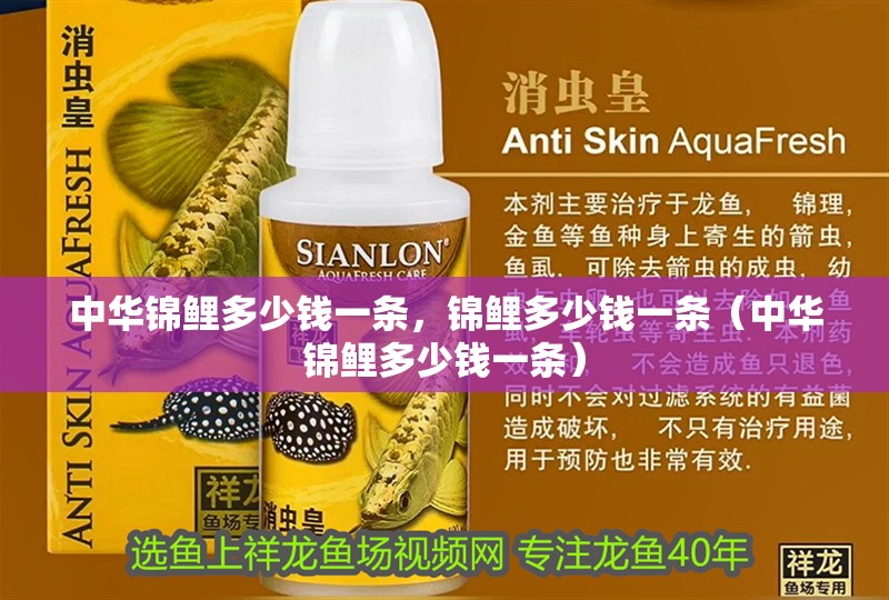 中華錦鯉多少錢一條，錦鯉多少錢一條（中華錦鯉多少錢一條）