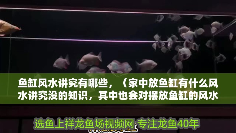 魚缸過濾器選購指南:自制魚缸過濾器魚缸上置過濾器對于養魚愛好者的必備知識 魚缸風水講究有哪些,(家中放魚缸有什么風水講究沒的知識,其中也會對擺放魚缸的風水禁忌) 觀賞魚百科 魚缸風水講究有哪些,(家中放魚缸有什么風水講究沒的知識,其中也會對擺放魚缸的風水禁忌) 魚缸風水講究有哪些,(家中放魚缸有什么風水講究沒的知識,其中也會對擺放魚缸的風水禁忌) 觀賞魚百科