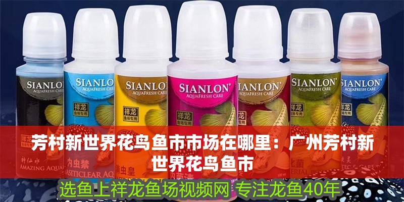 芳村新世界花鳥魚市市場在哪里：廣州芳村新世界花鳥魚市 芳村新世界花鳥魚市市場在哪里：廣州芳村新世界花鳥魚市 觀賞魚百科