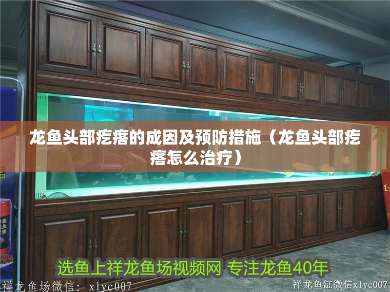 龍魚頭部疙瘩的成因及預防措施（龍魚頭部疙瘩怎么治療）