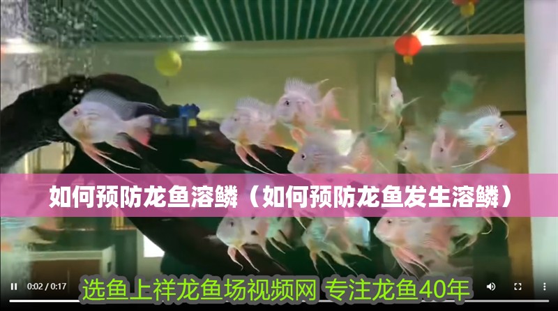 如何預防龍魚溶鱗（如何預防龍魚發生溶鱗）