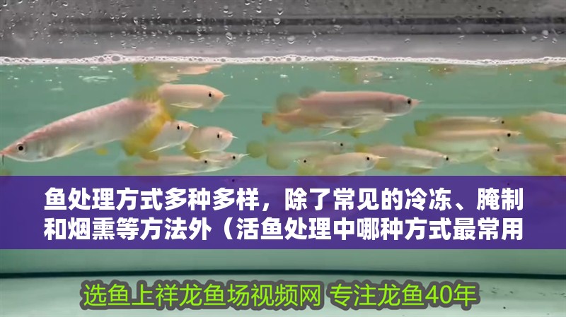魚處理方式多種多樣，除了常見的冷凍、腌制和煙熏等方法外（活魚處理中哪種方式最常用？）