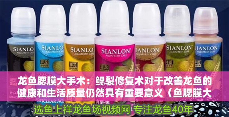 龍魚腮膜大手術：鰓裂修復術對于改善龍魚的健康和生活質量仍然具有重要意義（魚腮膜大手術鰓裂修復術對于改善龍魚的健康和生活質量仍然具有重要意義）