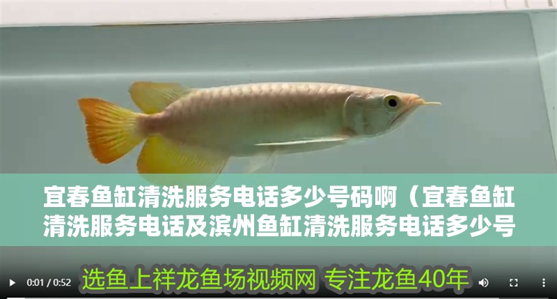 宜春魚缸清洗服務電話多少號碼?。ㄒ舜呼~缸清洗服務電話及濱州魚缸清洗服務電話多少號碼）