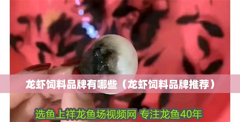 龍蝦飼料品牌有哪些（龍蝦飼料品牌推薦）