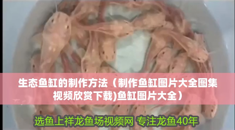 生態魚缸的制作方法（制作魚缸圖片大全圖集視頻欣賞下載)魚缸圖片大全）
